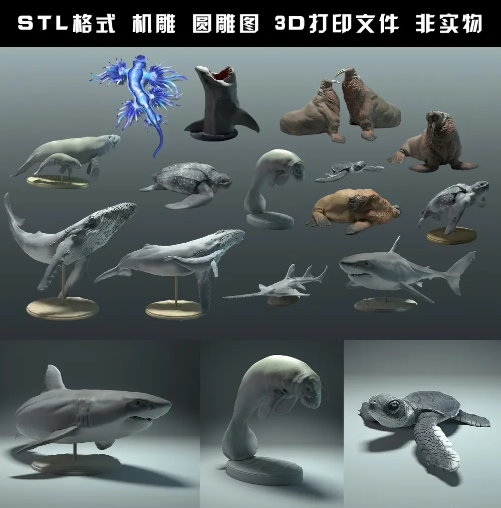 animals, polar bear, takin, wo - 3D Printing Rabbit recensie en prijs