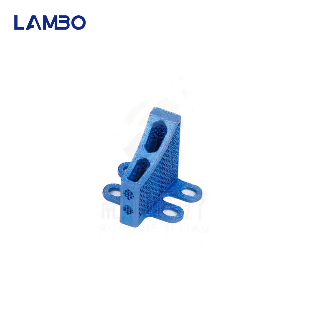 3D Printing TTA System Cage Bo - 3D Printing Orthopedics recensie en prijs