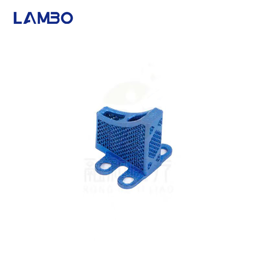 3D Printing TTA System Cage Bo - 3D Printing Orthopedics recensie en prijs